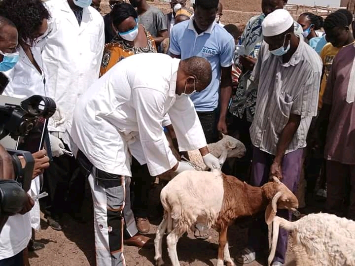 source de la photo : Site du MRAH (Ministère des Ressources Animales et Halieutiques)